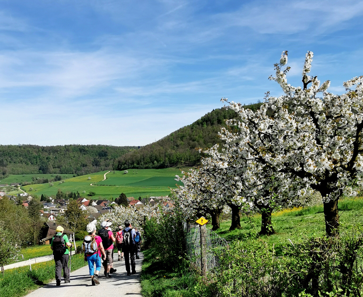 Aargauer Weg