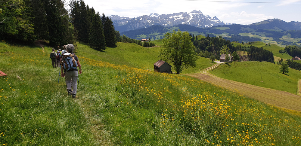 Alpenpanoramaweg – Aussicht Schweizer Alpen