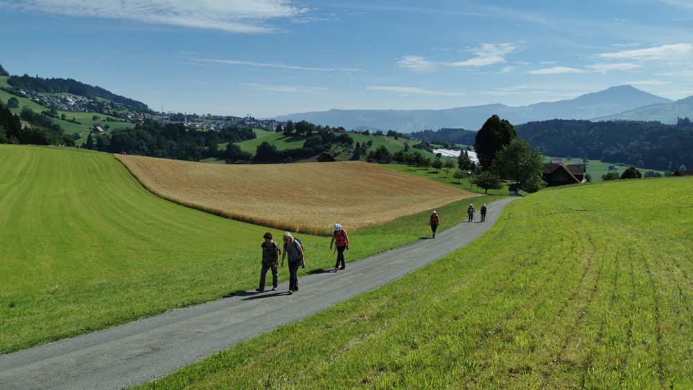 Alpenpanoramaweg