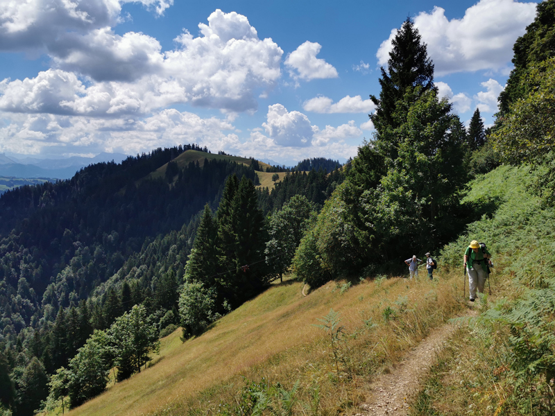 Alpenpanoramaweg