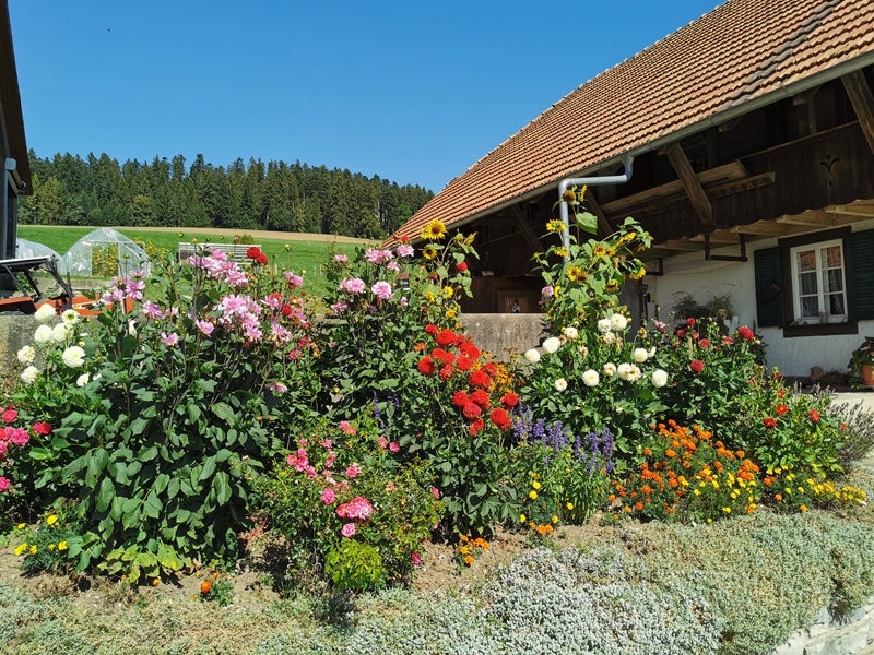 Alpenpanoramaweg