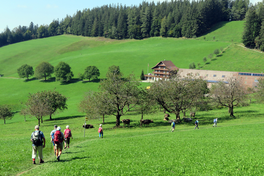 Alpenpanoramaweg