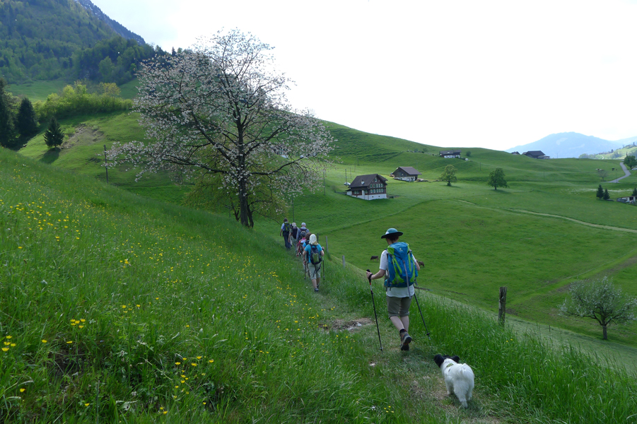 Jakobsweg Schweiz