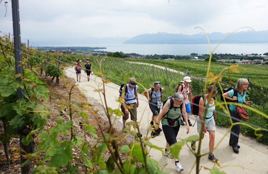 Jakobsweg Schweiz
