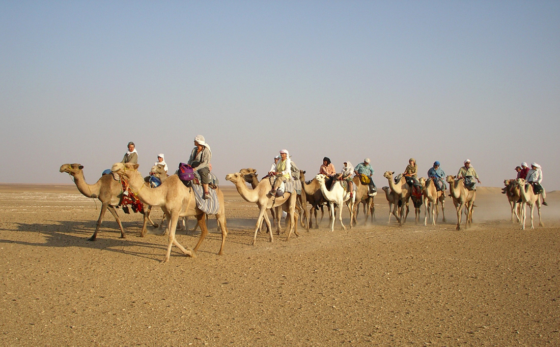 Ägypten Kameltrip