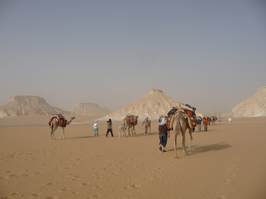 Weisse Wüste Ägypten